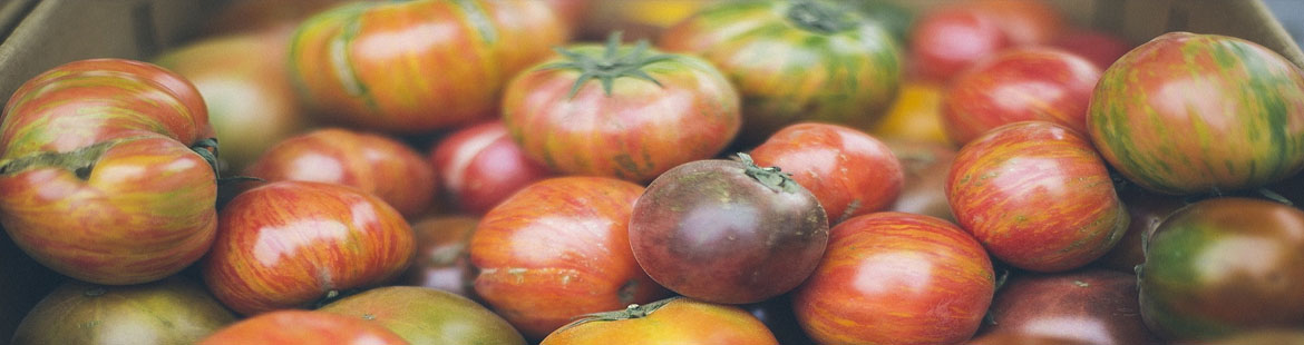 Background image - Tomatoes
